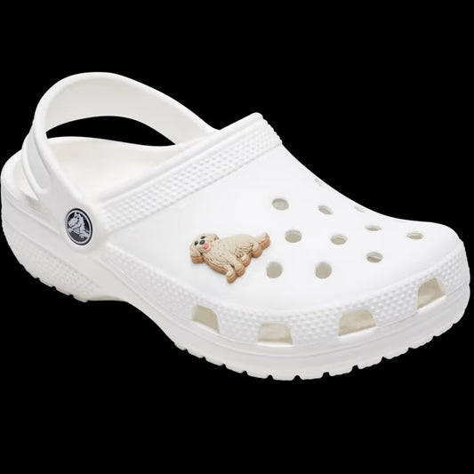 Crocs Jibbitz Charms