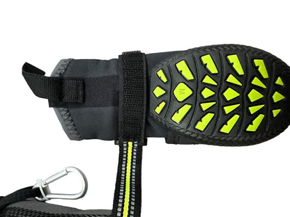 Arcadia Trail Köpek Ayakkabısı