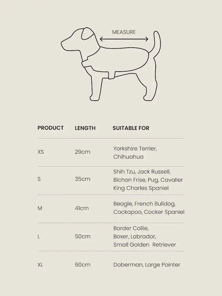 Beden / Göğüs Tasması