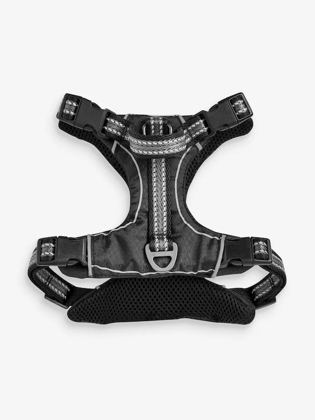 Beden / Göğüs Tasması