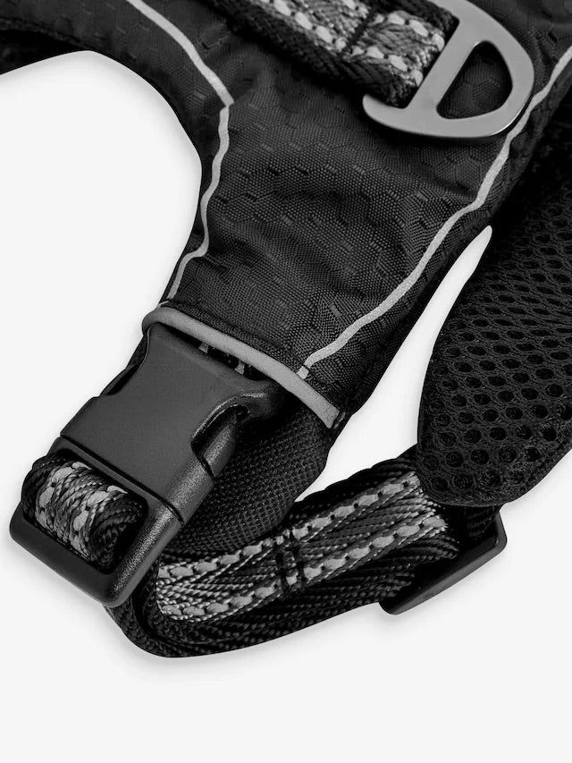 Beden / Göğüs Tasması