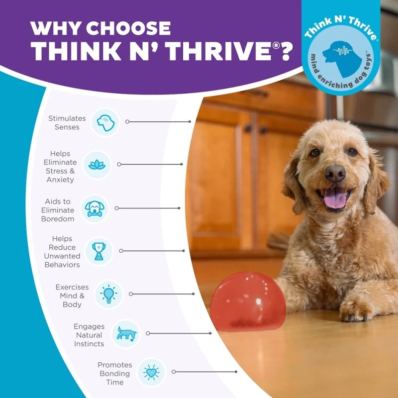 Lil Snoop Roy -  Köpek Ödül Oyuncağı