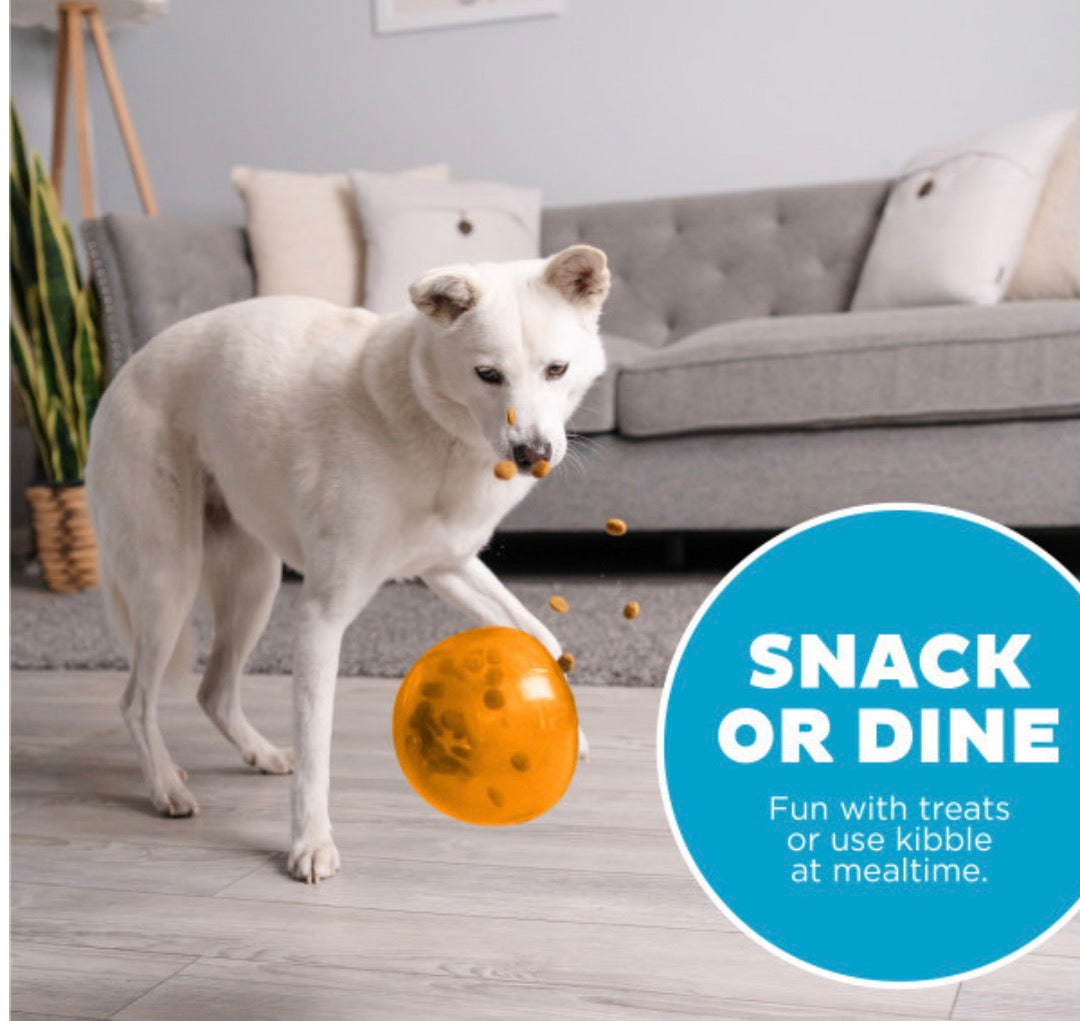 Lil Snoop Roy -  Köpek Ödül Oyuncağı