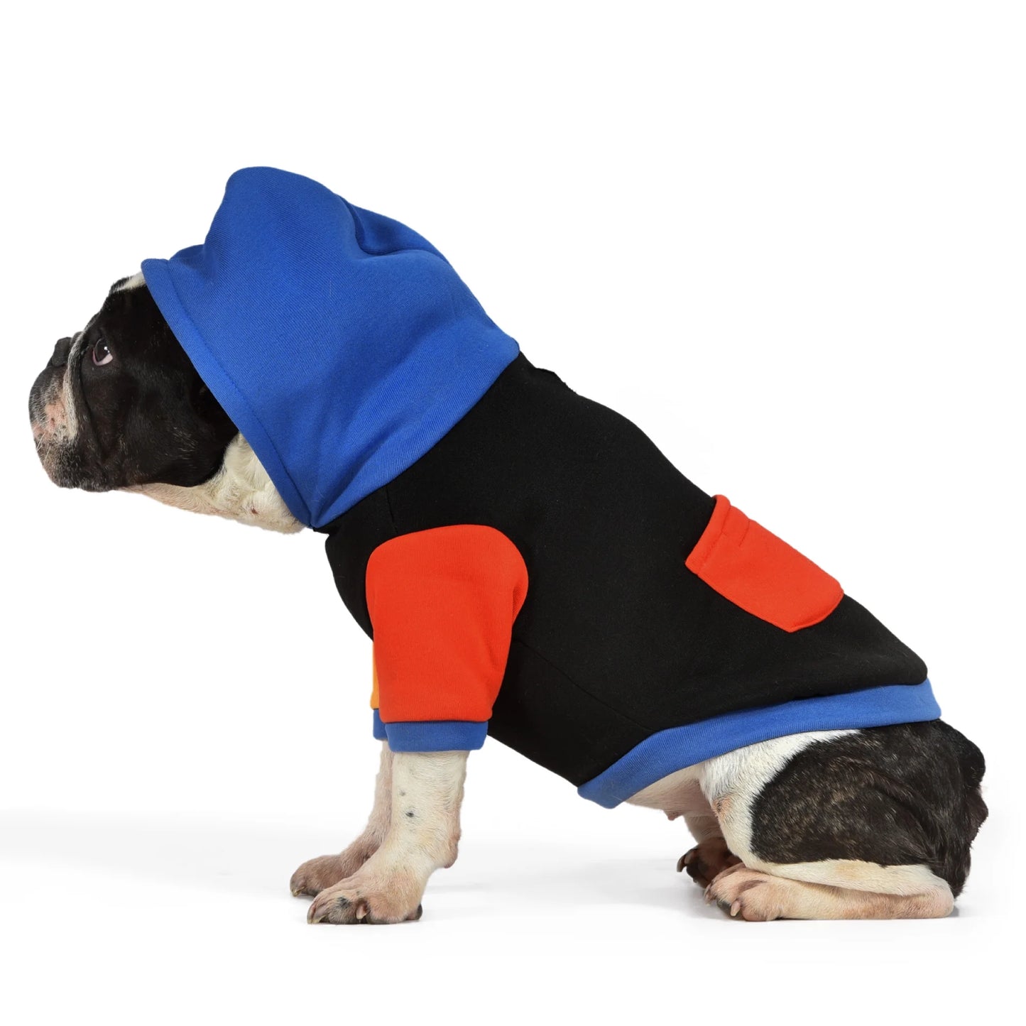 The Dodo Hoodie