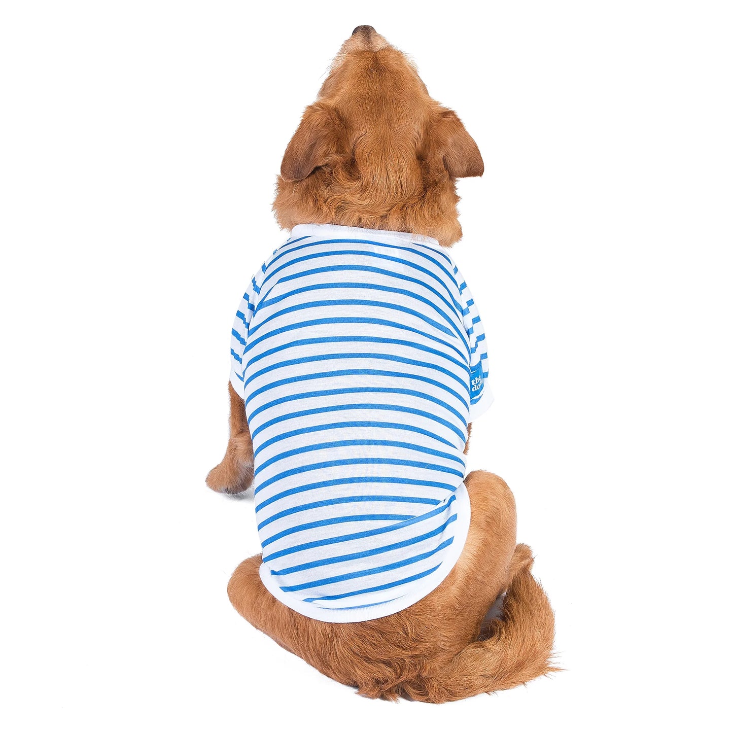 the Dodo Bisiklet Yaka T-Shirt