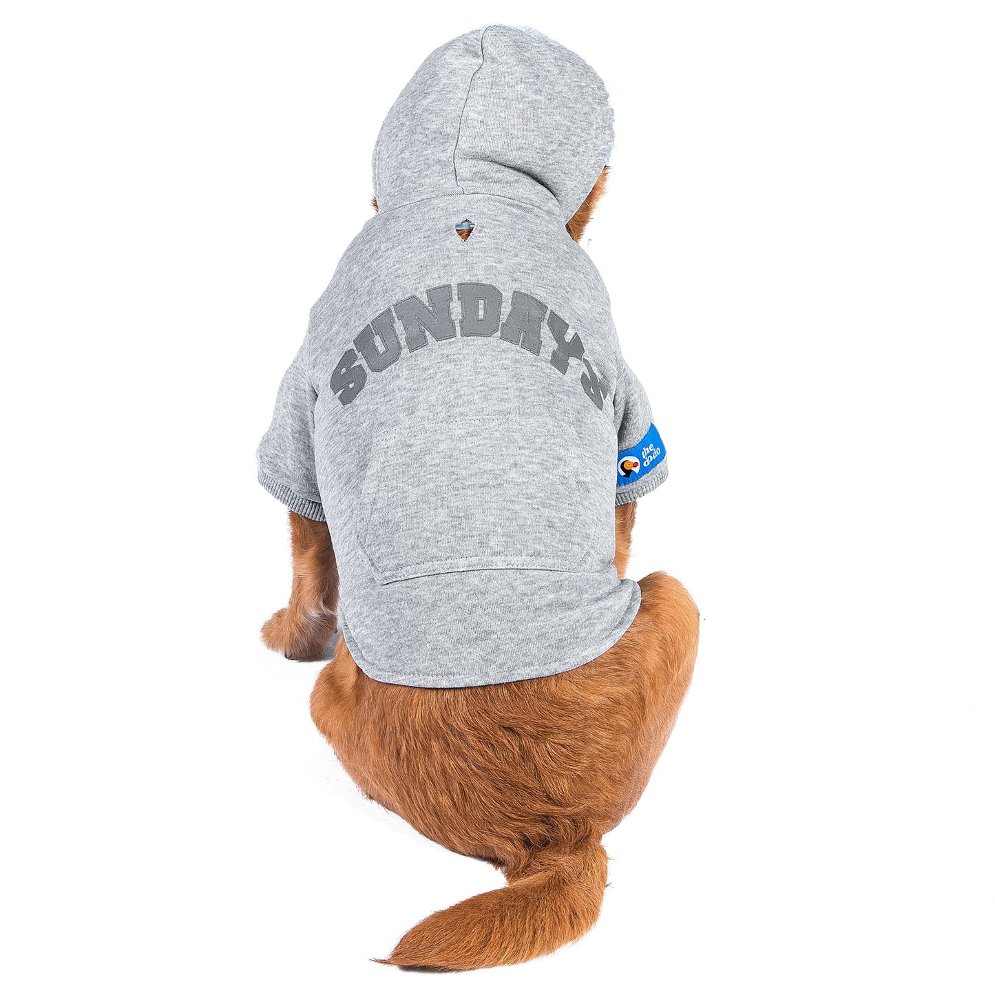 The Dodo Hoodie
