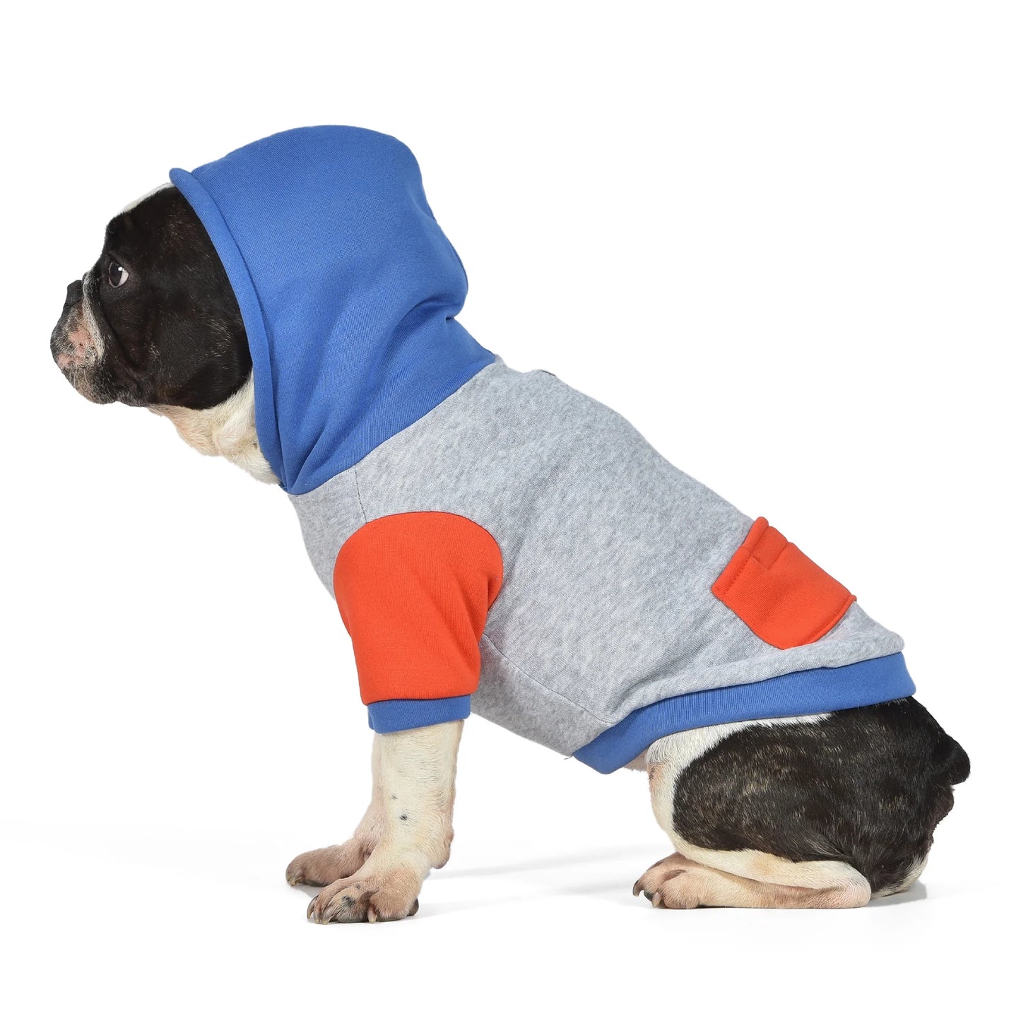 The Dodo Hoodie