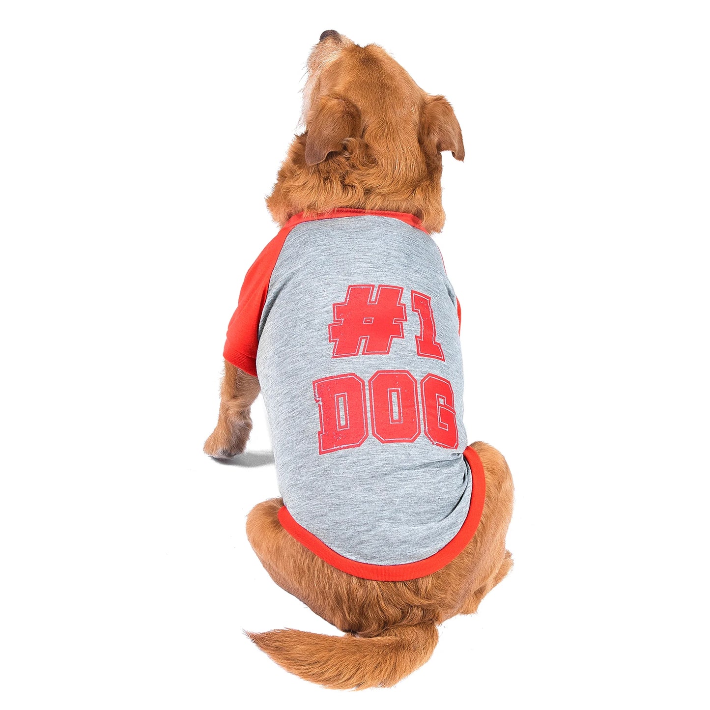the Dodo Bisiklet Yaka T-Shirt