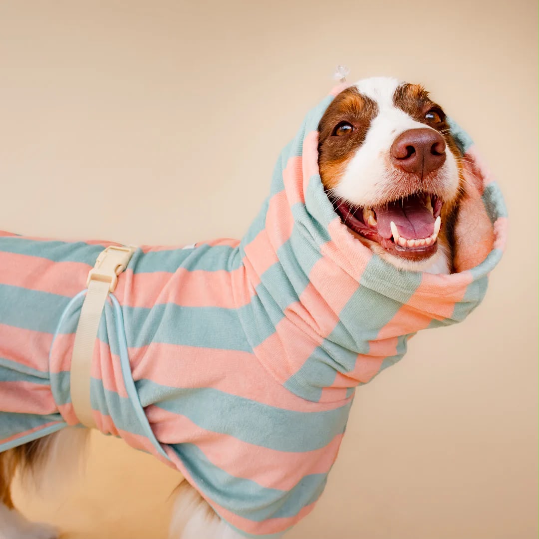 Soft Rituals | Drying Robe | Köpek Bornozu