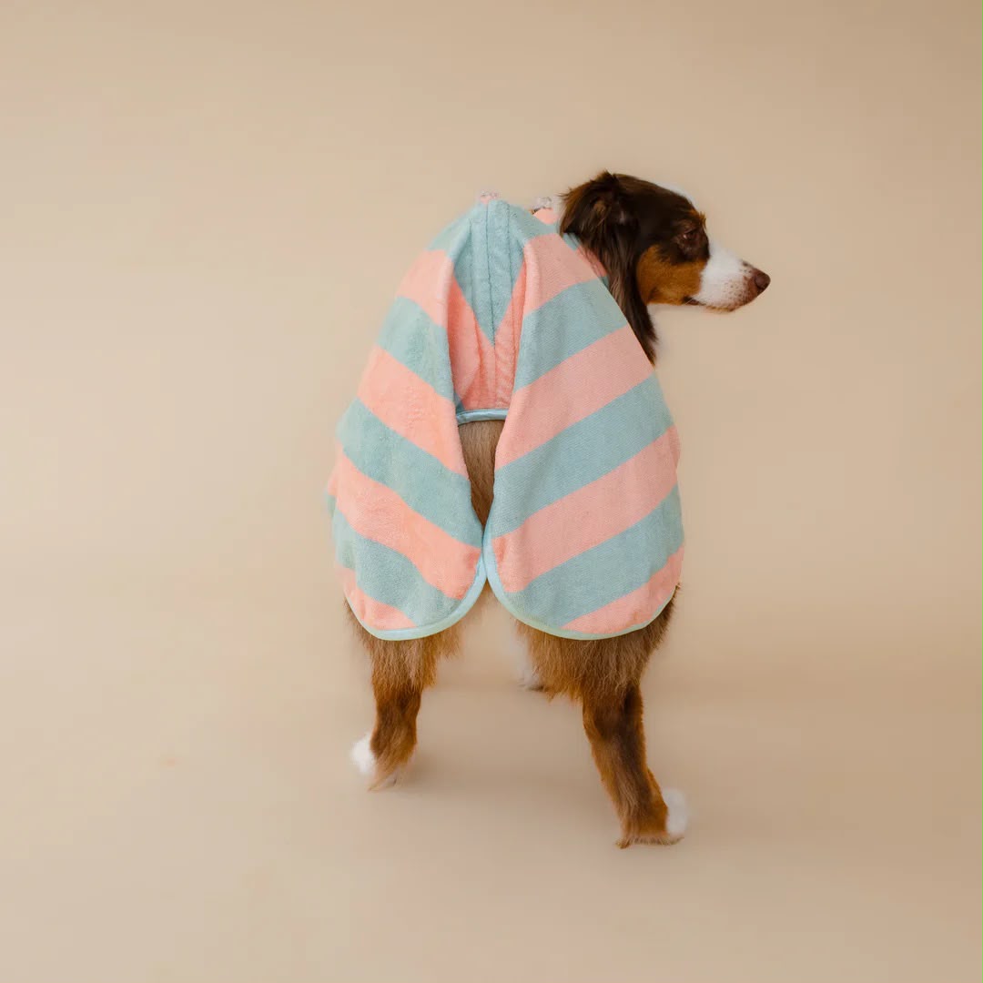 Soft Rituals | Drying Robe | Köpek Bornozu