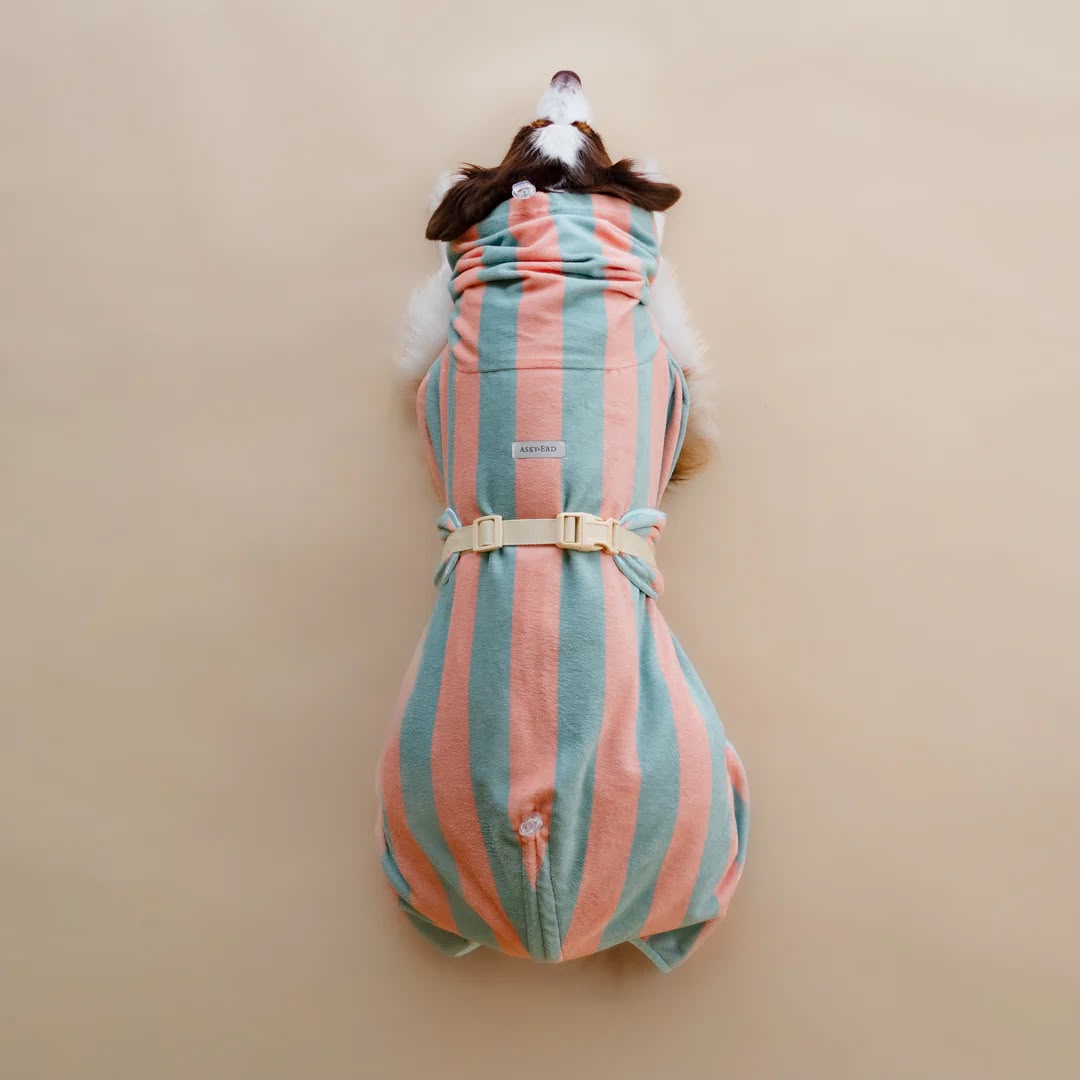 Soft Rituals | Drying Robe | Köpek Bornozu