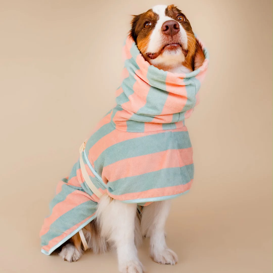 Soft Rituals | Drying Robe | Köpek Bornozu