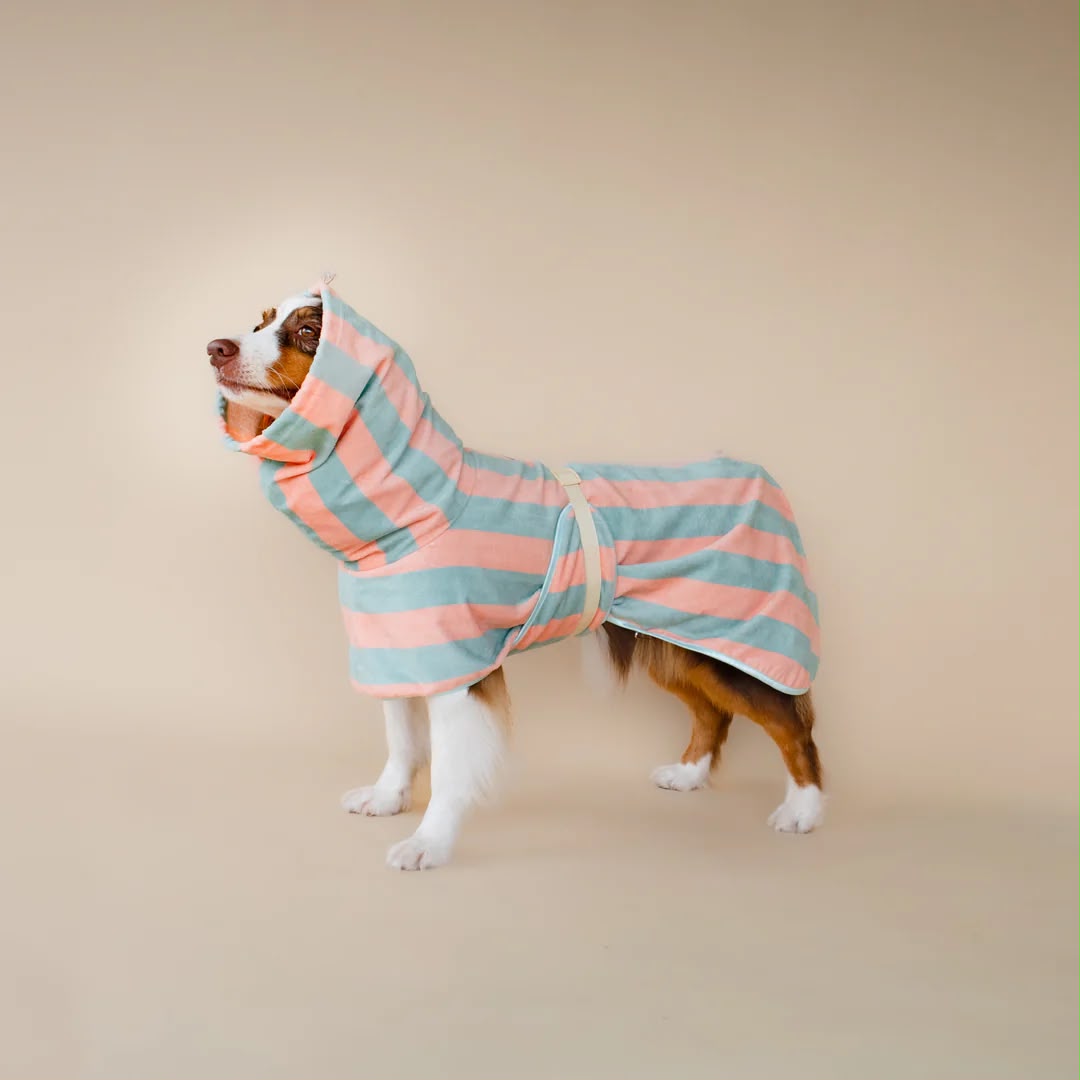 Soft Rituals | Drying Robe | Köpek Bornozu