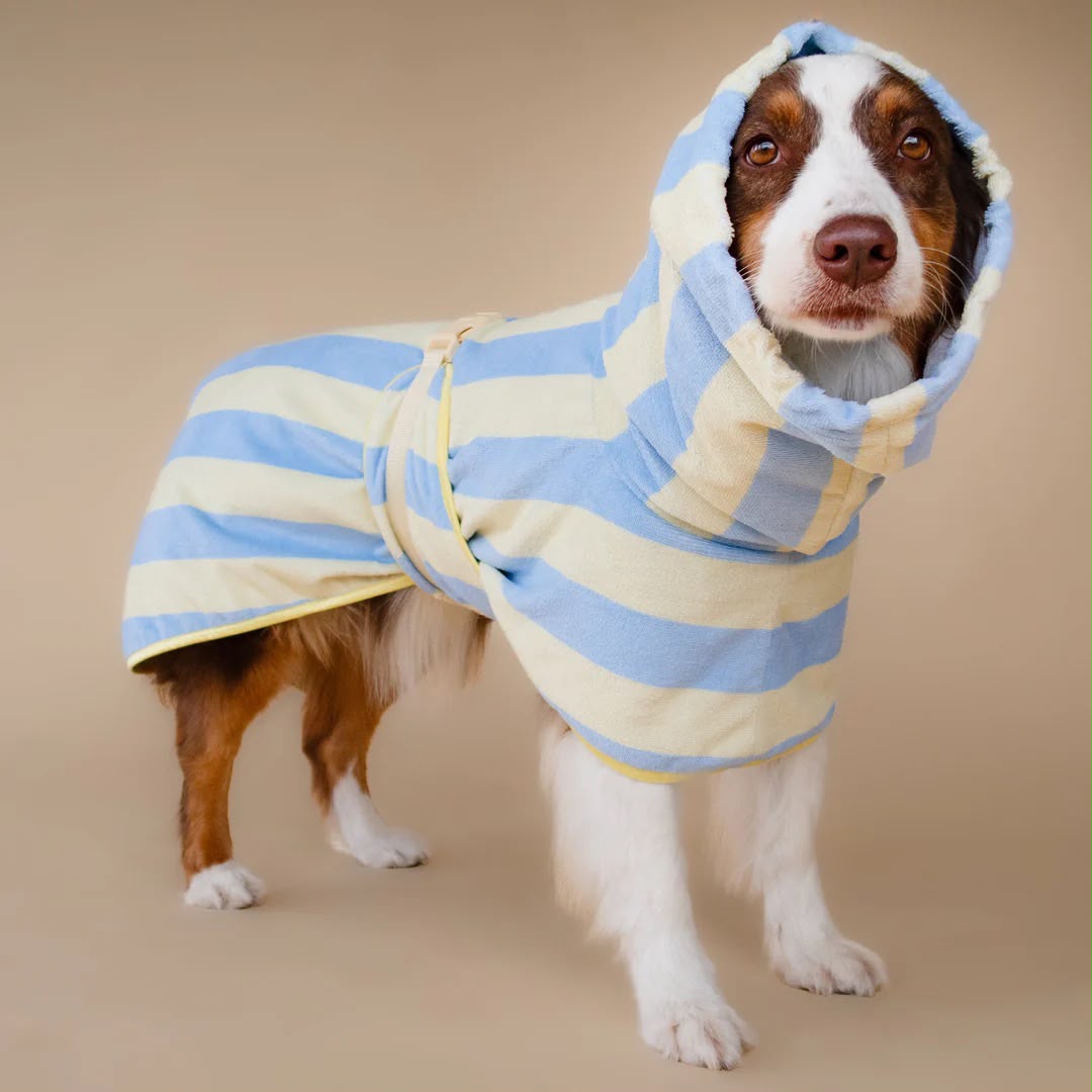 Soft Rituals | Drying Robe | Köpek Bornozu
