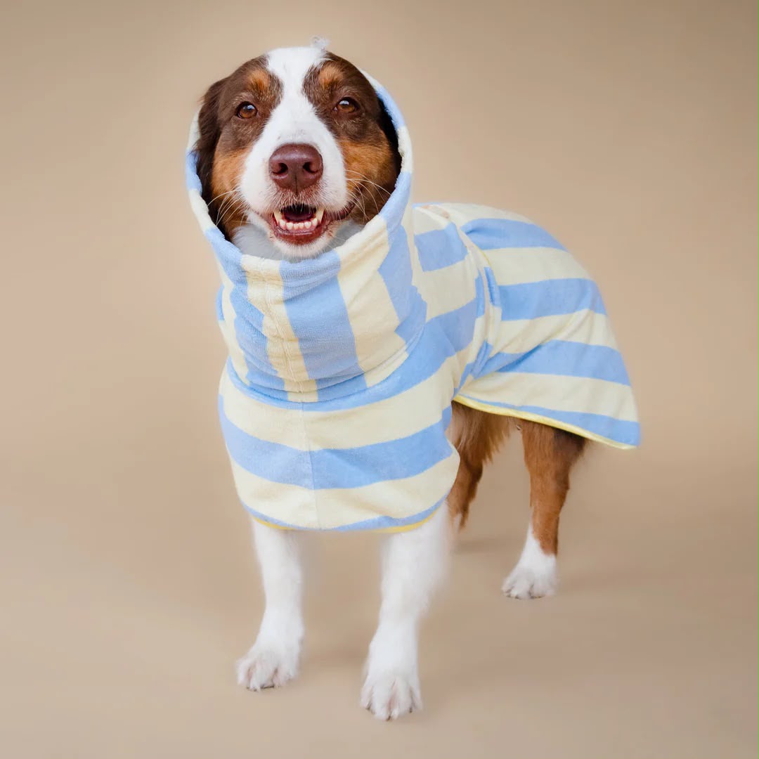 Soft Rituals | Drying Robe | Köpek Bornozu