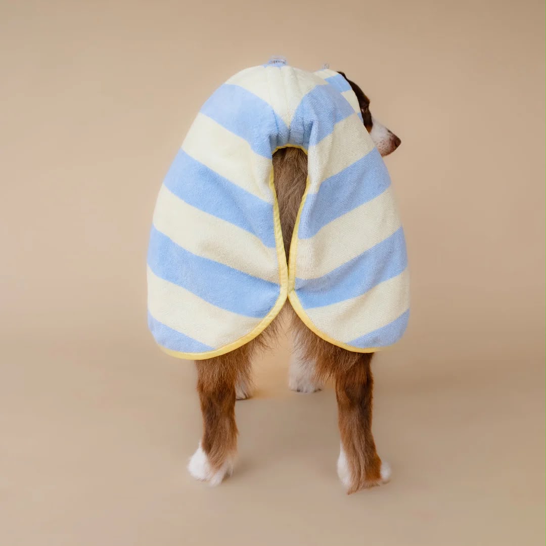 Soft Rituals | Drying Robe | Köpek Bornozu
