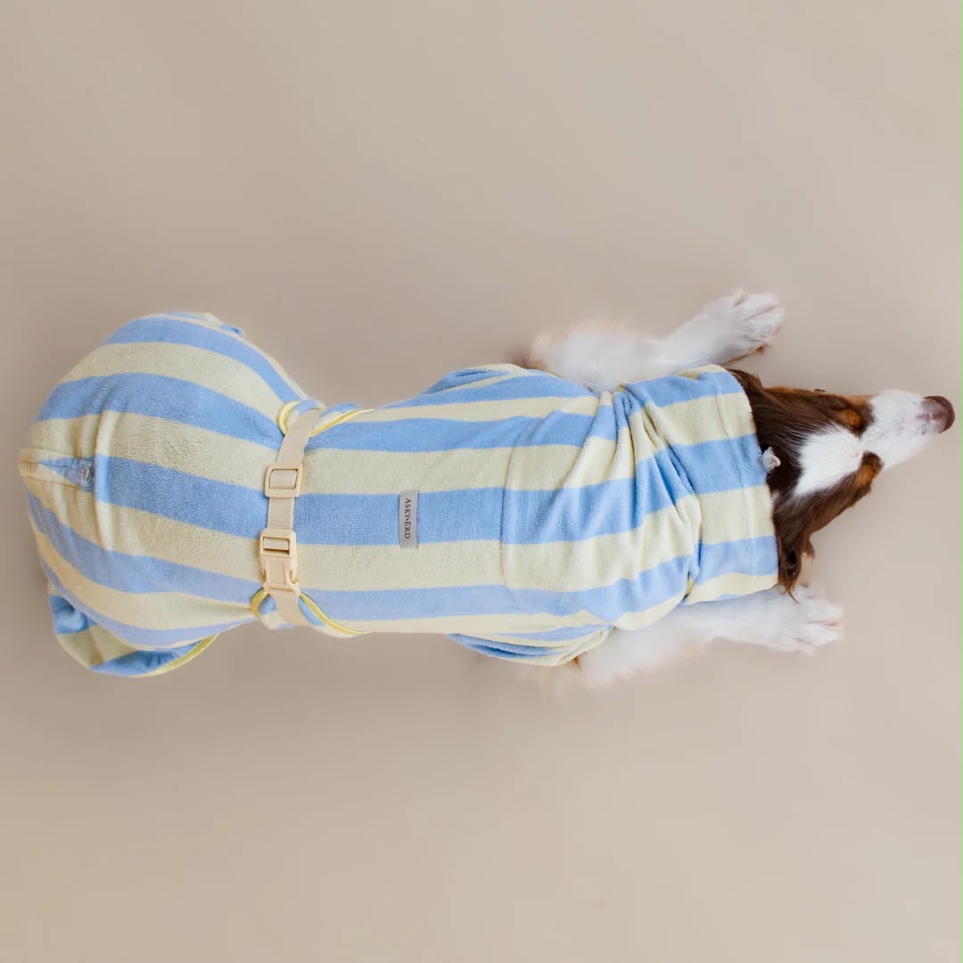 Soft Rituals | Drying Robe | Köpek Bornozu