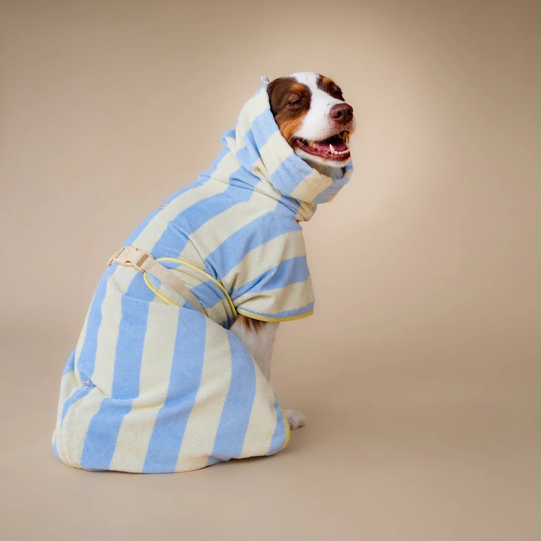 Soft Rituals | Drying Robe | Köpek Bornozu