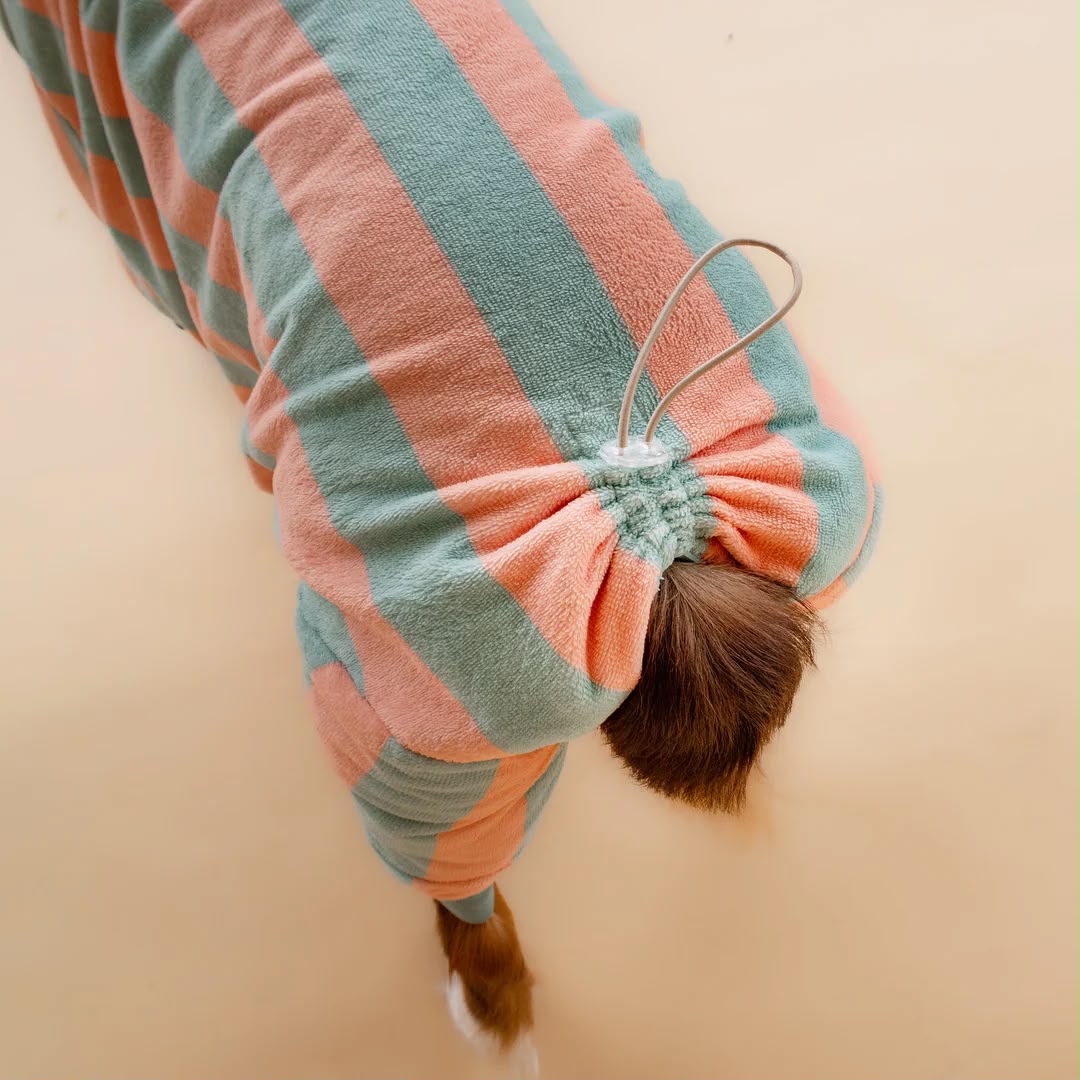 Soft Rituals | Drying Onesie | Köpekler İçin Tulum Bornoz