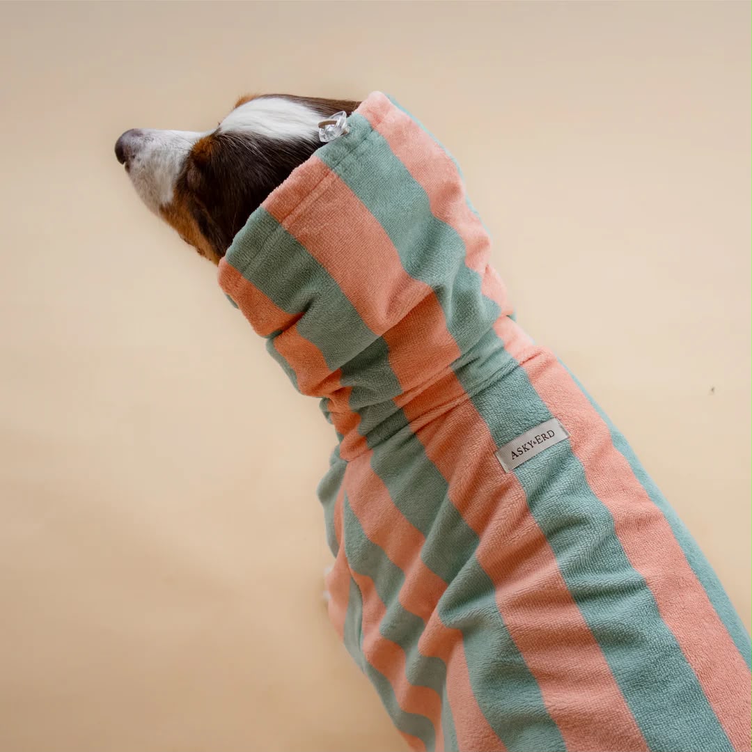 Soft Rituals | Drying Onesie | Köpekler İçin Tulum Bornoz