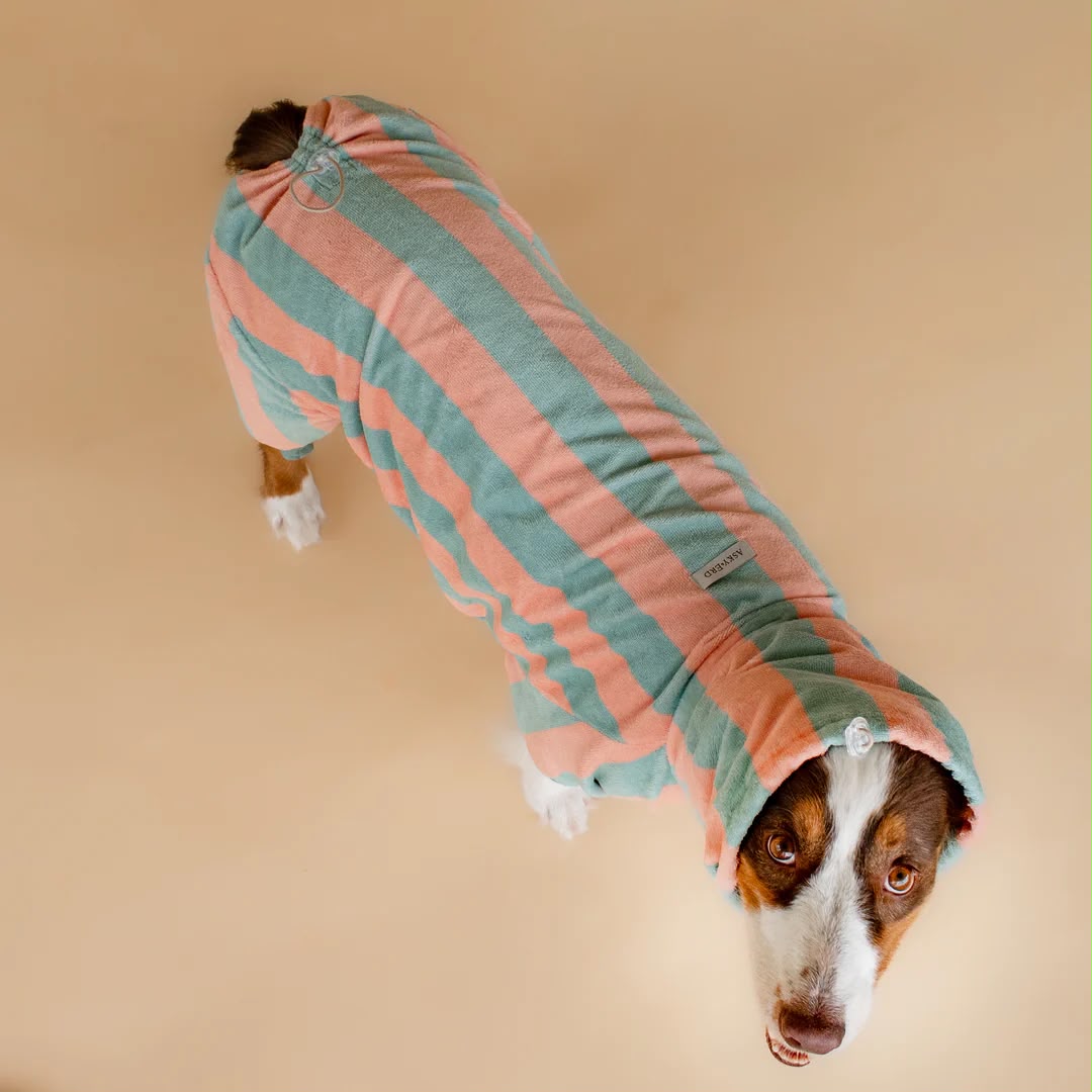 Soft Rituals | Drying Onesie | Köpekler İçin Tulum Bornoz