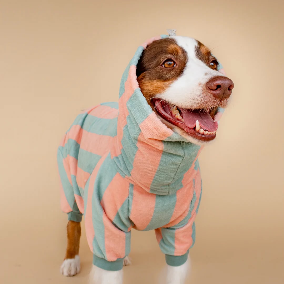 Soft Rituals | Drying Onesie | Köpekler İçin Tulum Bornoz