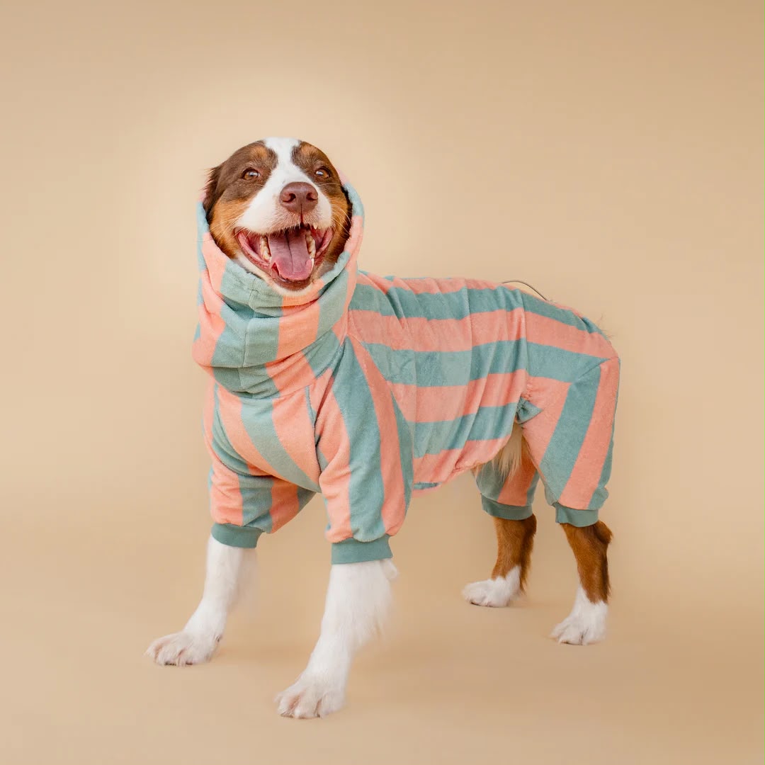 Soft Rituals | Drying Onesie | Köpekler İçin Tulum Bornoz