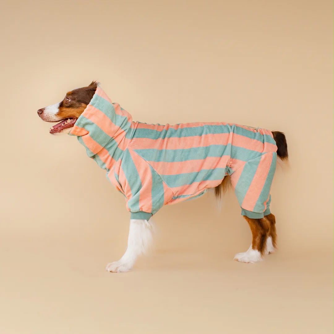 Soft Rituals | Drying Onesie | Köpekler İçin Tulum Bornoz