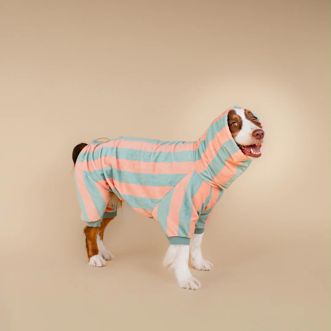 Soft Rituals | Drying Onesie | Köpekler İçin Tulum Bornoz