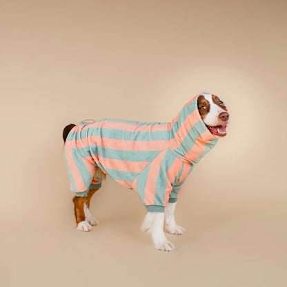 Soft Rituals | Drying Onesie | Köpekler İçin Tulum Bornoz