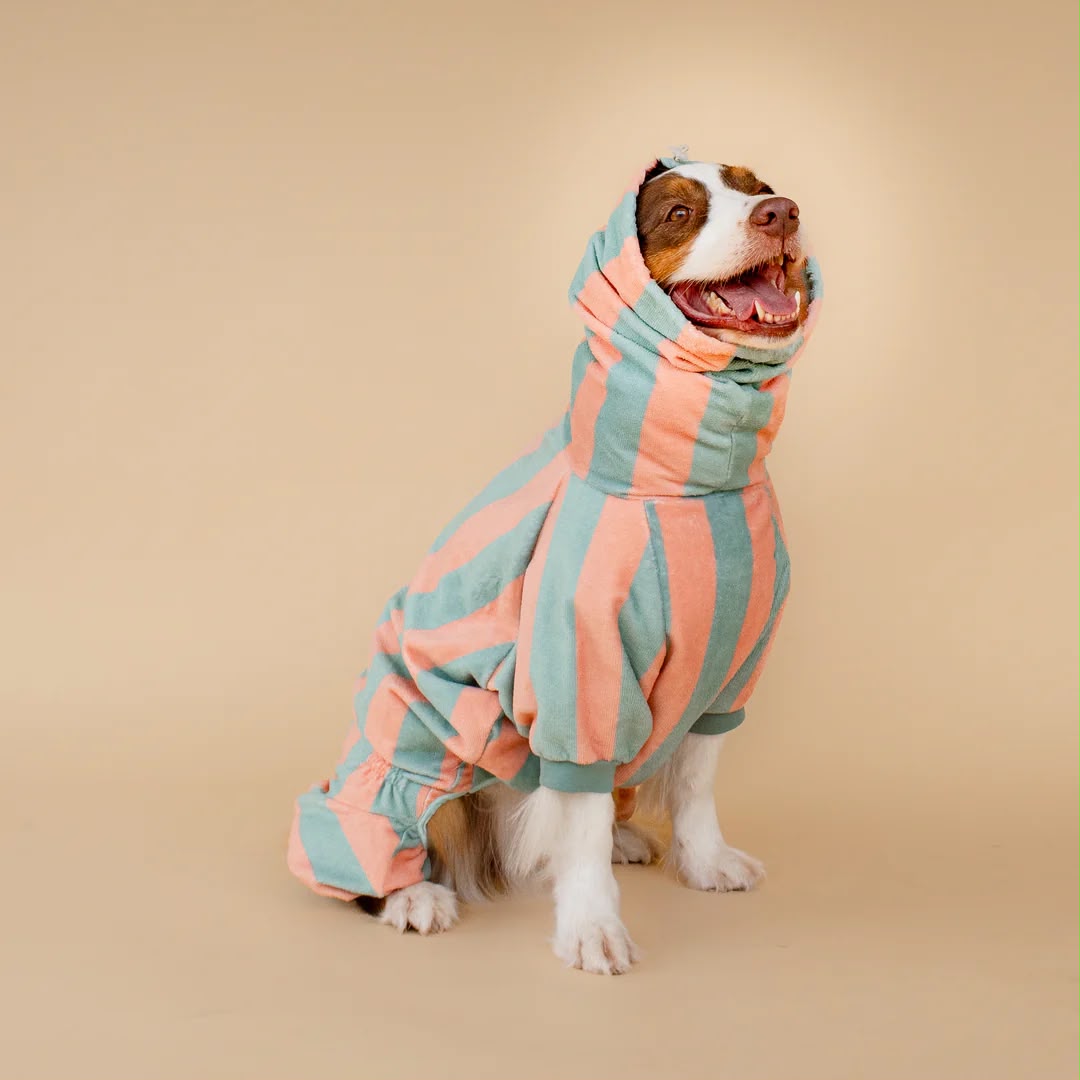 Soft Rituals | Drying Onesie | Köpekler İçin Tulum Bornoz
