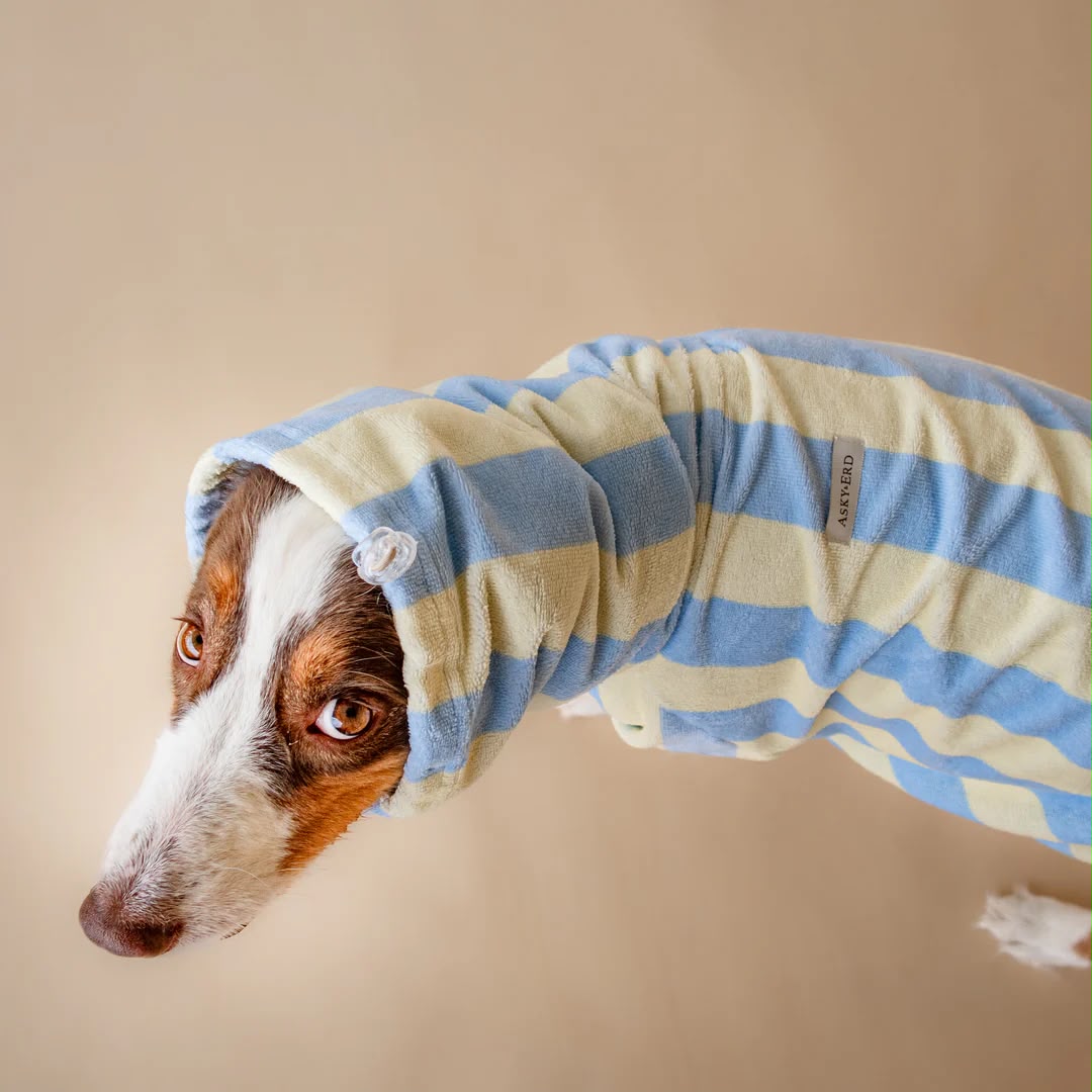 Soft Rituals | Drying Onesie | Köpekler İçin Tulum Bornoz