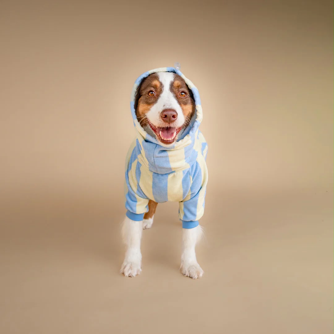 Soft Rituals | Drying Onesie | Köpekler İçin Tulum Bornoz