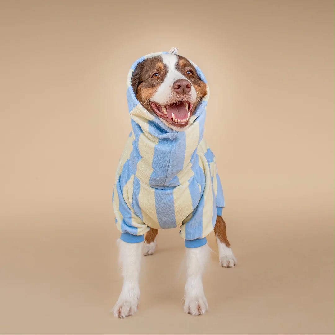 Soft Rituals | Drying Onesie | Köpekler İçin Tulum Bornoz