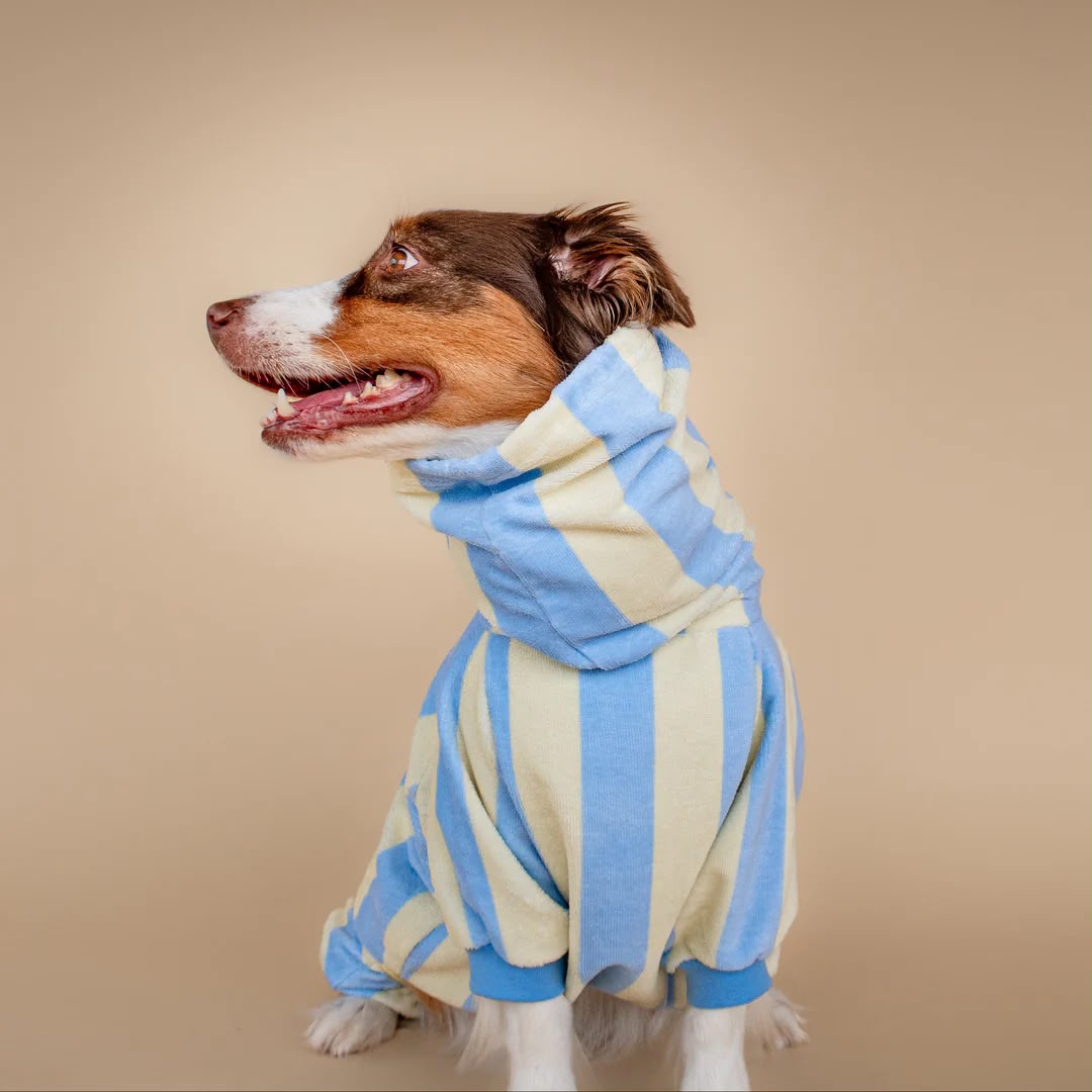 Soft Rituals | Drying Onesie | Köpekler İçin Tulum Bornoz