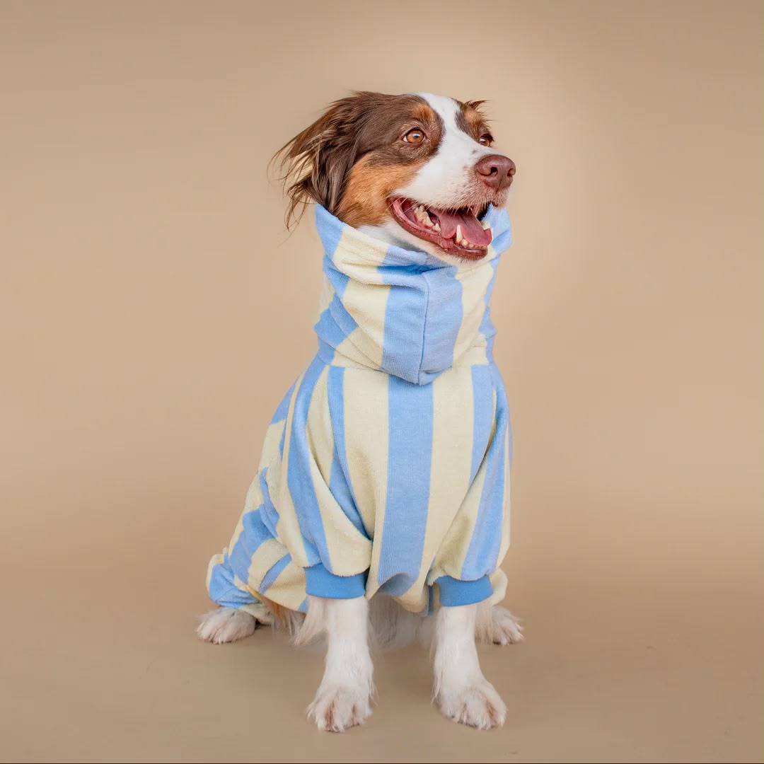 Soft Rituals | Drying Onesie | Köpekler İçin Tulum Bornoz