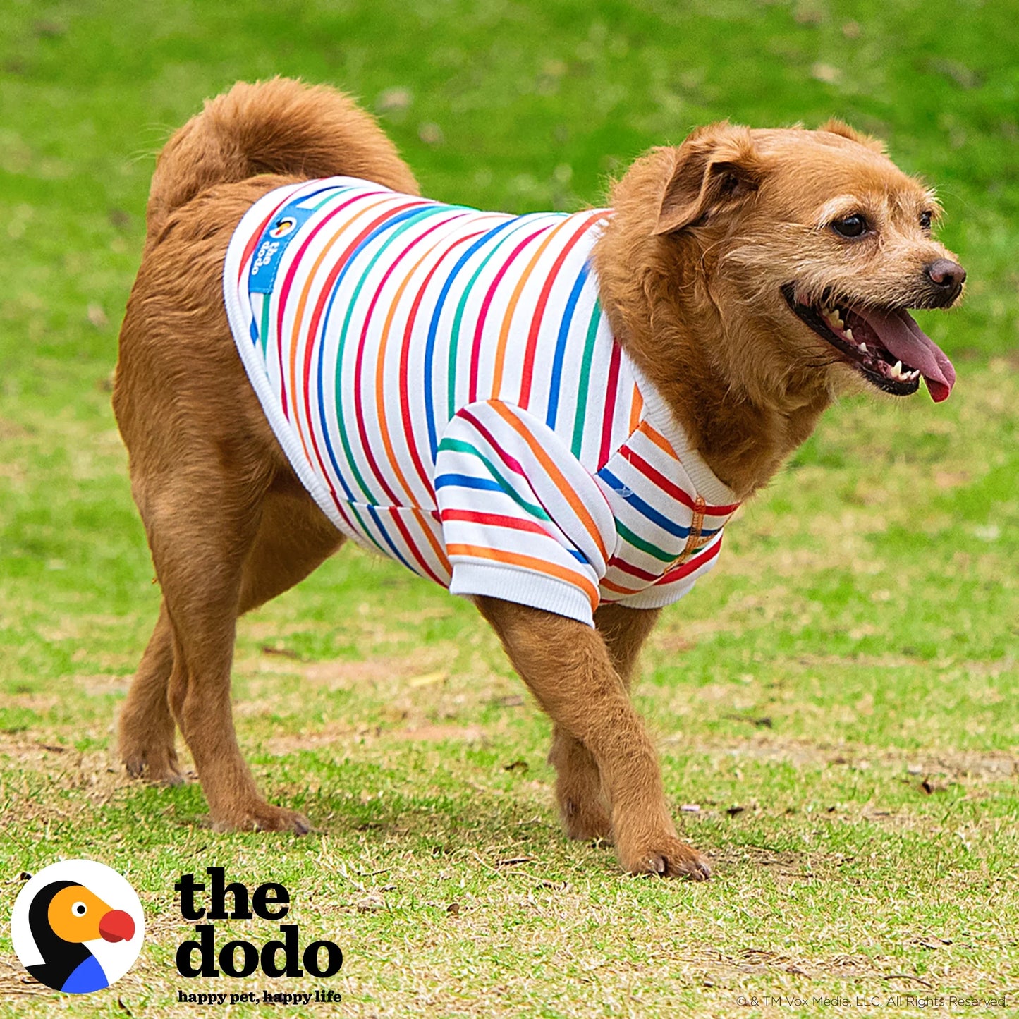 the Dodo Bisiklet Yaka T-Shirt