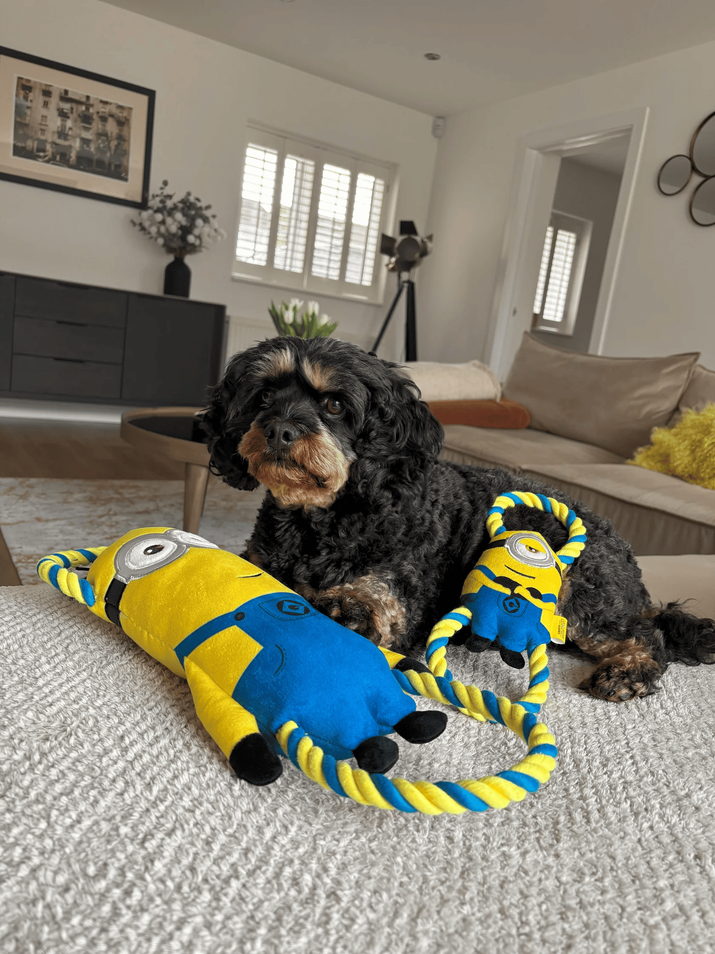 Minion® Double Tug Çekiştirme Oyuncakları (Bob,Stuart,Kevin)