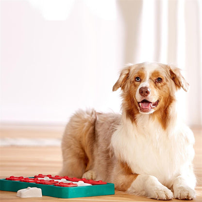 Outward Hound X Nina Ottosson Interactive Treat Puzzle Köpek Oyuncağı