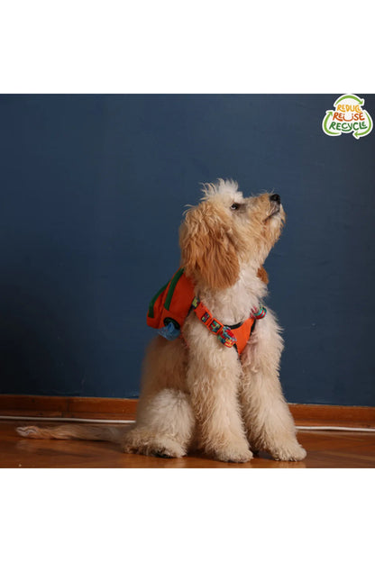 Pawlook Köpek Göğüs Tasması Sırt Çantası