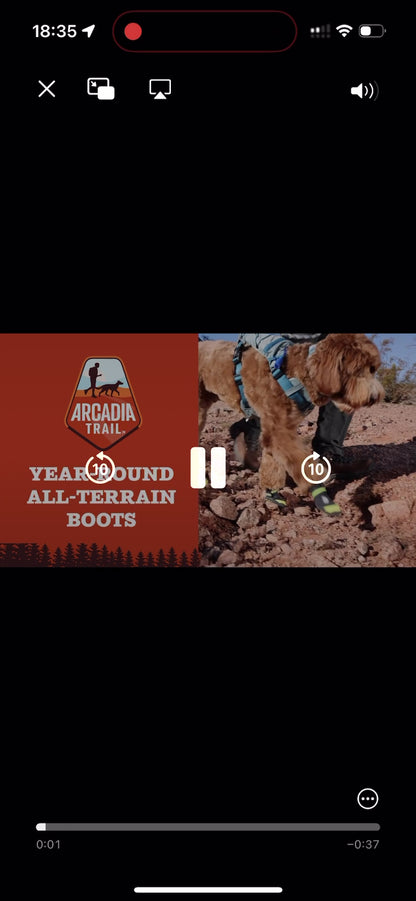 Arcadia Trail Köpek Ayakkabısı