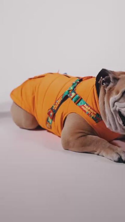 Pawlook Design Göğüs Tasmalı Köpek Montu
