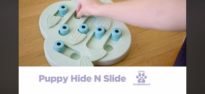 Outward Hound Hide’n Slide Zihin Egzersiz Oyuncağı