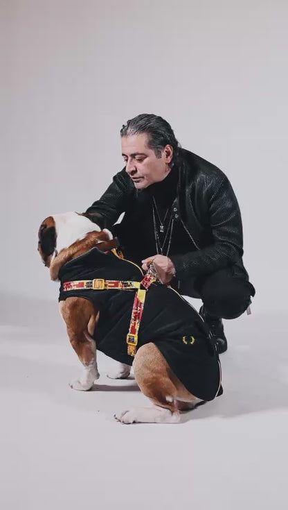 Pawlook Design Göğüs Tasmalı Köpek Montu